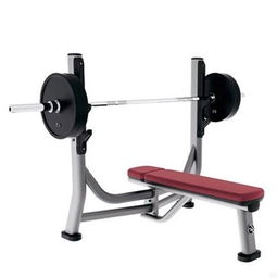 美國力健lifefitness sofb奧林匹克水平推舉椅 專業力量訓練器材圖片,美國力健lifefitness sofb奧林匹克水平推舉椅 專業力量訓練器材高清圖片 上?？刀〗∩砥鞑某Ｖ莘止? class=