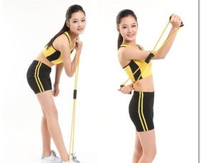 易威斯堡塑胸拉力器 價格、廠家與選購指南